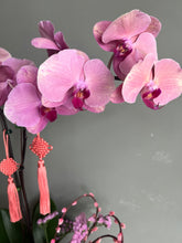 Load image into Gallery viewer, Pink Peach Blossom Longevity