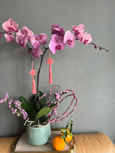 Load image into Gallery viewer, Pink Peach Blossom Longevity