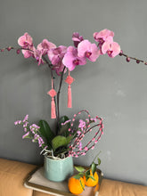 Load image into Gallery viewer, Pink Peach Blossom Longevity