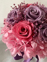 Load image into Gallery viewer, Lavender Cheshire