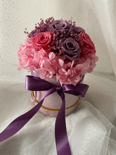 Load image into Gallery viewer, Lavender Cheshire