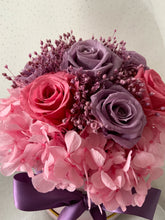 Load image into Gallery viewer, Lavender Cheshire