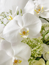 Load image into Gallery viewer, Premium Fresh Orchid Vase Arrangement