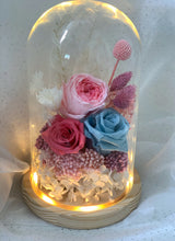Load image into Gallery viewer, Wonderland Glass Dome