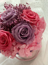 Load image into Gallery viewer, Lavender Cheshire