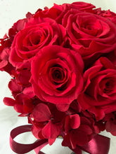 Load image into Gallery viewer, Queen of Hearts