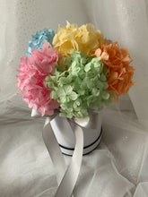 Load image into Gallery viewer, Mad Hatter’s Rainbow Tea Party