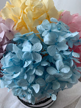 Load image into Gallery viewer, Mad Hatter’s Rainbow Tea Party