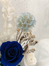 Load image into Gallery viewer, Alice Glass Dome Blue Rose