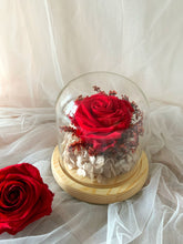 Load image into Gallery viewer, Queen of Hearts XL