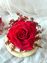 Load image into Gallery viewer, Queen of Hearts XL
