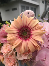 Load image into Gallery viewer, Blossom Bunny Fresh Flower Box Daisy