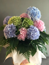 Load image into Gallery viewer, Cotton Candy Twirl