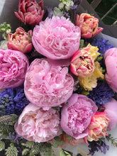 Load image into Gallery viewer, Peonia Meadow