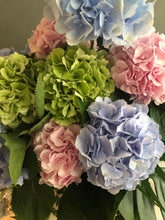 Load image into Gallery viewer, Cotton Candy Twirl