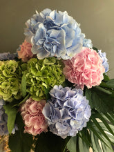 Load image into Gallery viewer, Cotton Candy Twirl