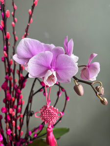 Lilac Blossom Longevity