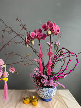 Load image into Gallery viewer, Petite Longevity
