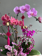 Load image into Gallery viewer, Royal Longevity
