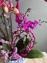 Load image into Gallery viewer, Royal Longevity
