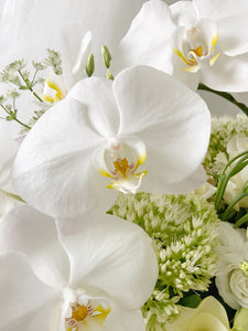 Premium Fresh Orchid Vase Arrangement