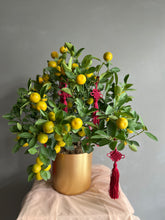 Load image into Gallery viewer, Kumquat with Red Chinese Knots
