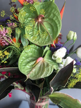 Load image into Gallery viewer, Tropicana Vase Arrangement Anthurium
