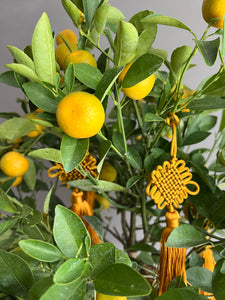 Kumquat with Gold Chinese Knots