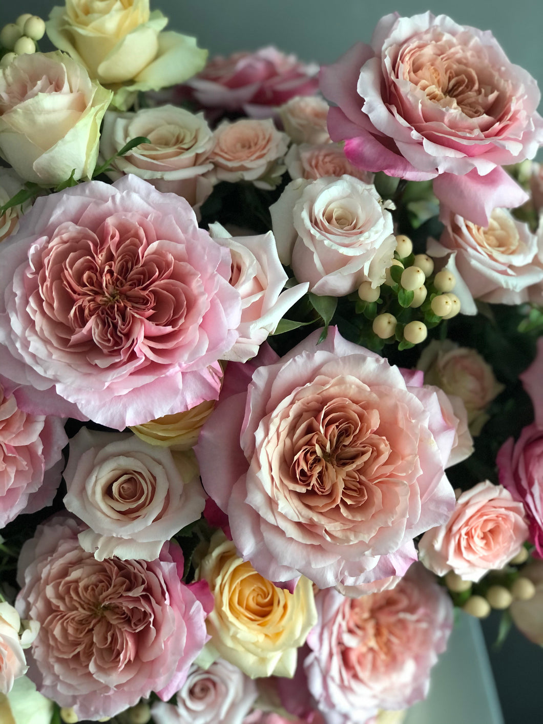 Bliss Bloom Box Rose